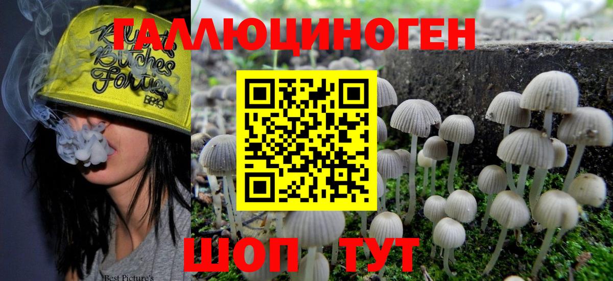 Псилоцибиновые грибы Magic Shrooms  Псилоцибиновые грибы мухоморы  Шали  Вход с VPN 